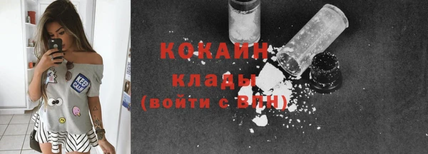 гидра Наволоки