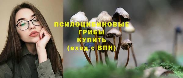 гидра Наволоки