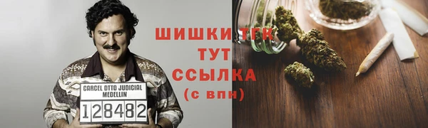 гидра Наволоки