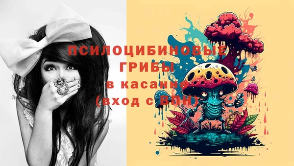 спиды Надым