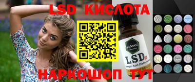 крисы Абакан