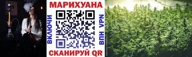 Конопля семена как найти наркотики Кунгур