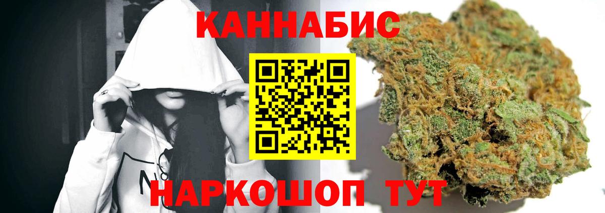 Бошки Шишки планчик Кунгур